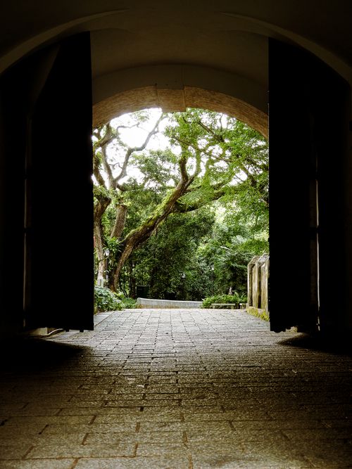 Free A picturesque view through an archway revealing lush greenery in Singapore. Perfect for serene travel themes. Stock Photo