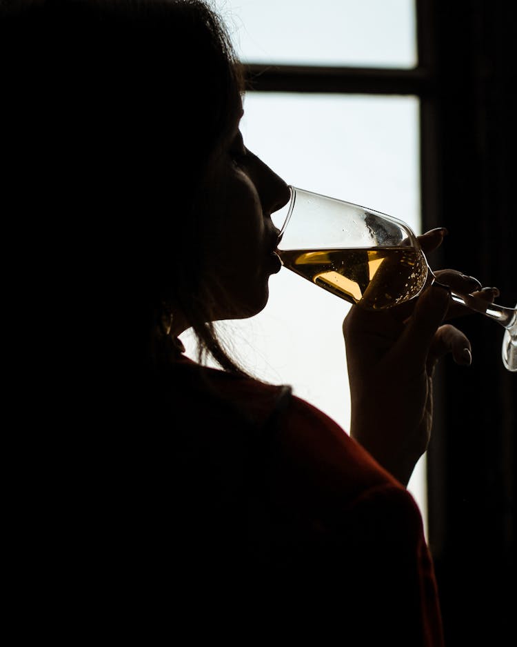 Silhouette Of Woman Drinking Wine