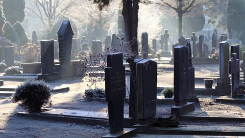 Free A peaceful cemetery scene captured at sunrise, with mist and tombstones creating a tranquil atmosphere. Stock Photo