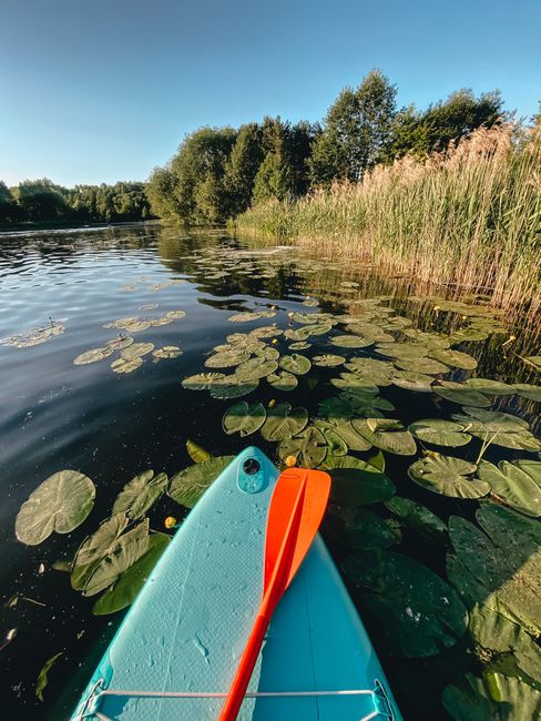 Explore the tranquil beauty of a serene lake in Minsk, featuring lush greenery and calm waters for kayaking.