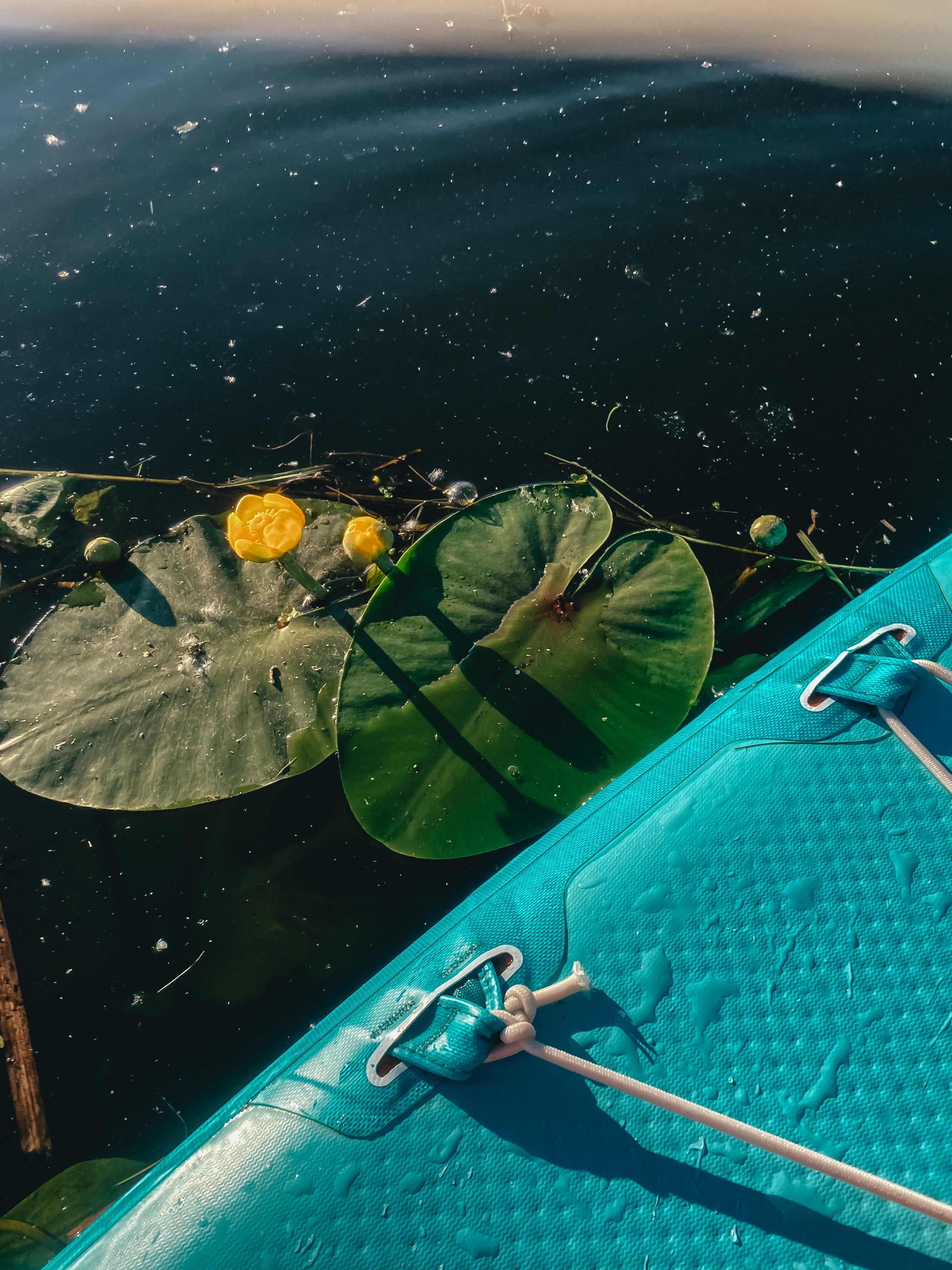 Close-up of a kayak beside water lilies in Minsk, Belarus on a calm lake.