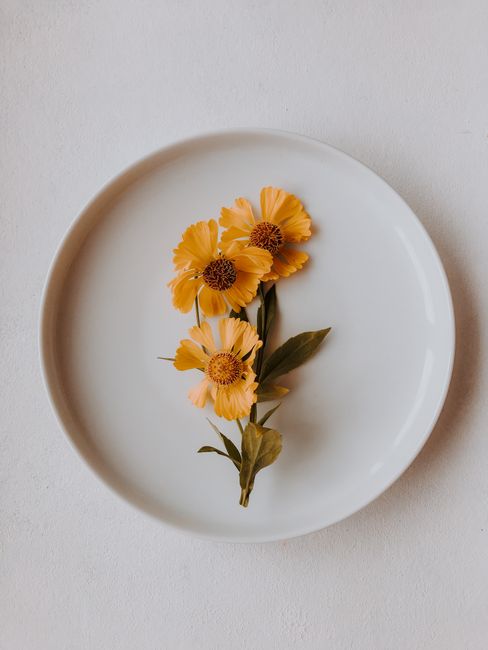Bright yellow flowers arranged on a white plate, creating a minimalist and elegant composition.