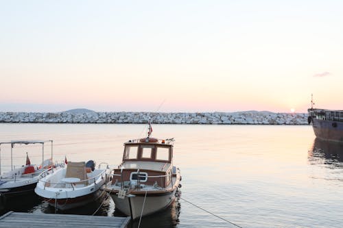 bezplatná Základová fotografie zdarma na téma člun, jachty, jezero Základová fotografie