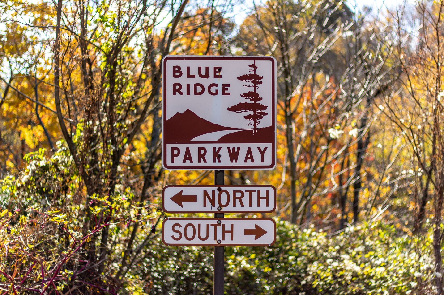 Blue Ridge Parkway photo 5