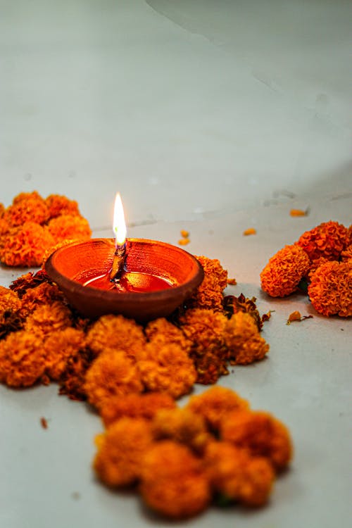 Free Red Candle on Brown Round Holder Stock Photo