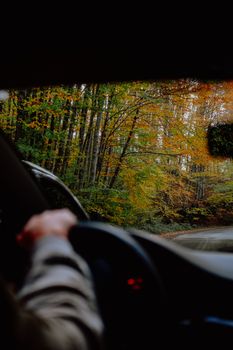 Experience a tranquil drive through a vibrant autumn forest as leaves turn to golden hues.