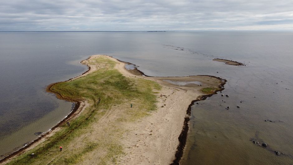 Coût de la Vie à Pärnu : Budget Mensuel 2026