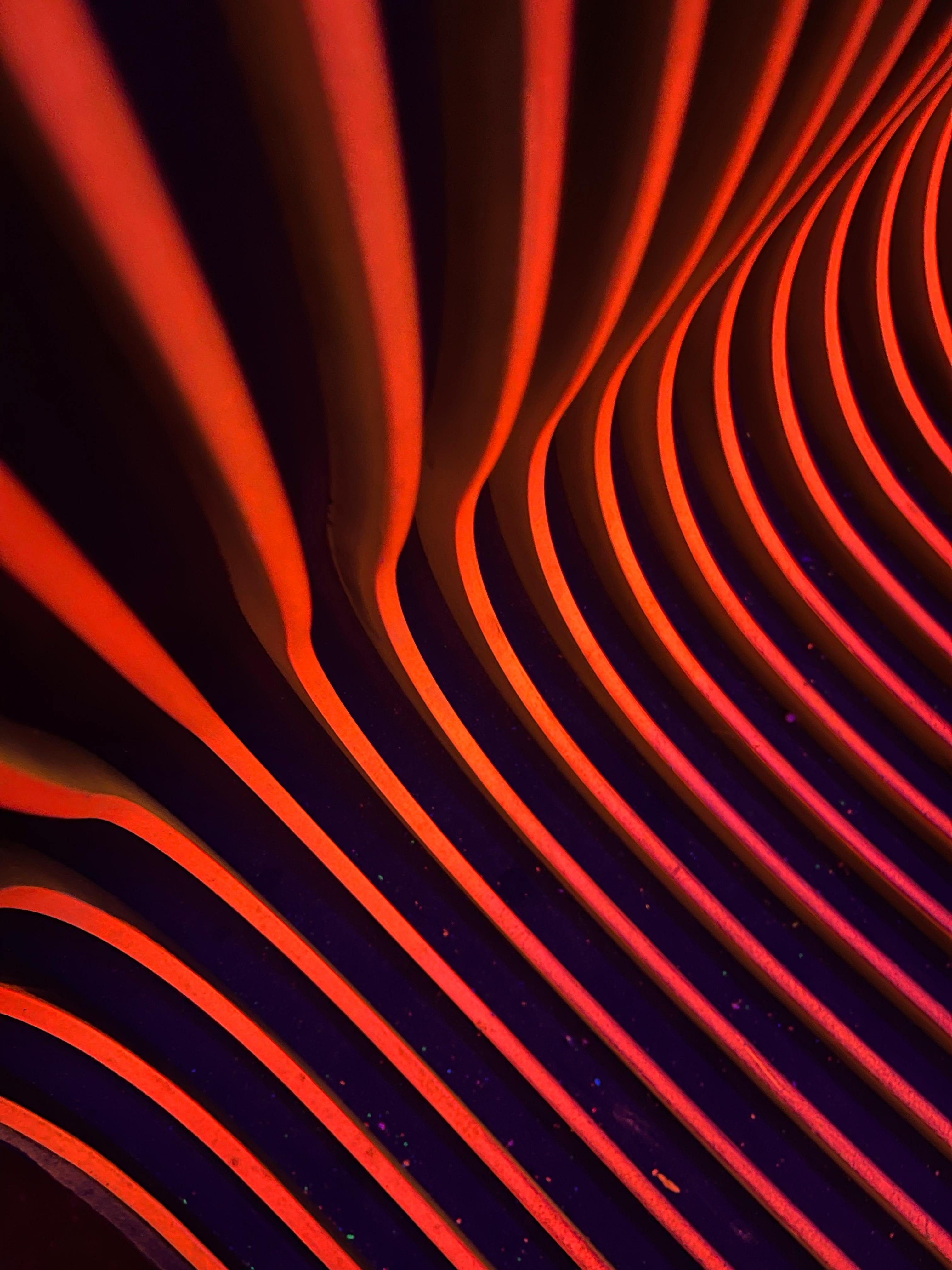 Olya Shiryaeva Fotografie