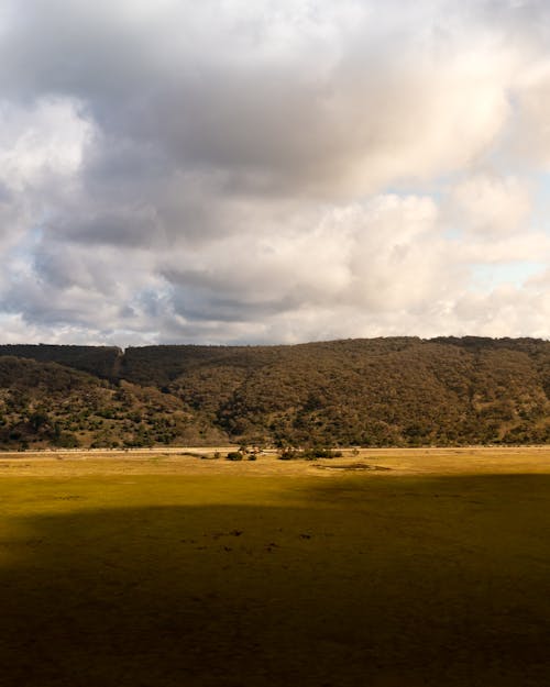Gratis lagerfoto af Australien, bjerg, græsarealer Lagerfoto