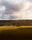 australian landscape