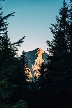 Tranquil mountain peak view framed by evergreen trees under a clear sky.