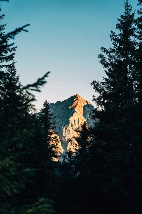 Free Tranquil mountain peak view framed by evergreen trees under a clear sky. Stock Photo