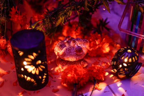 Free stock photo of bread, diademuertos, mexico