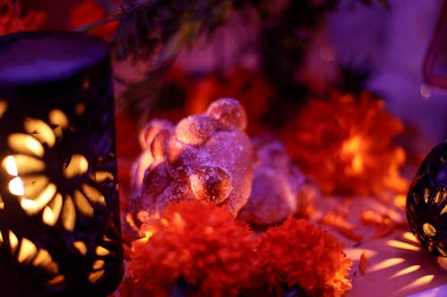 Free stock photo of bread, diademuertos, mexico