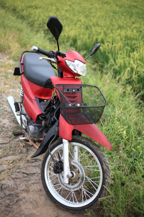 Red Motorcycle Parked Near a Rice Field