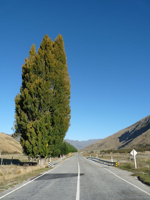 Free stock photo of country road, distance, empty road