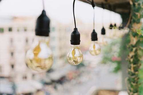 Selective Focus Shot of Hanging Light Bulbs