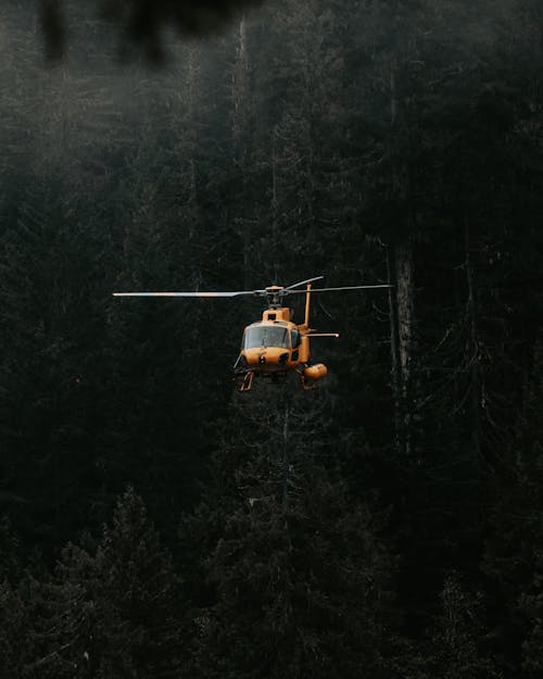 Δωρεάν στοκ φωτογραφιών με δασικός, δέντρα, ελικόπτερο