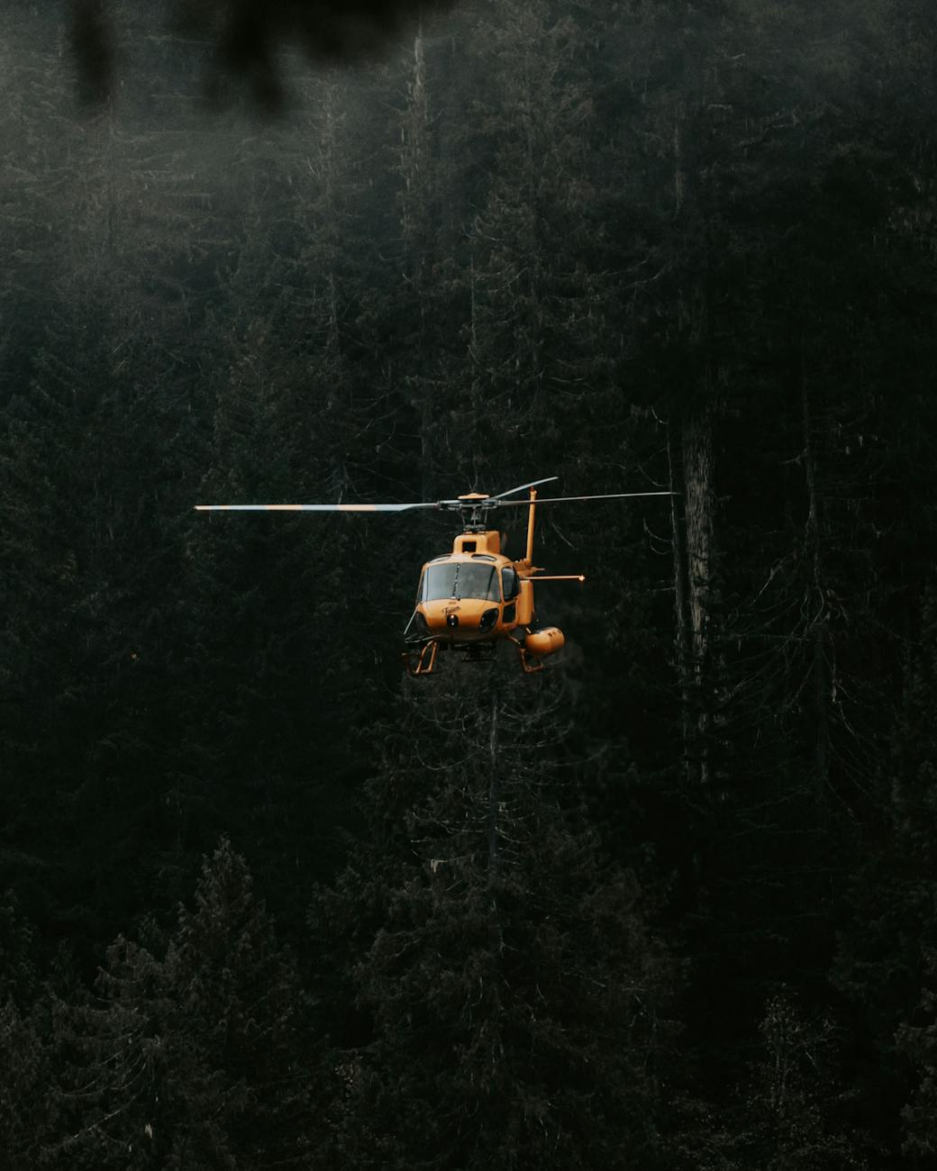 Juneau Helicopter Companies