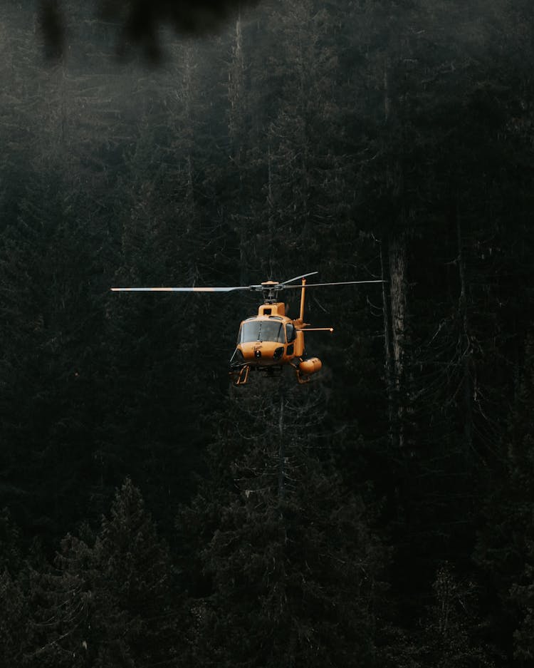 Helicopter Flying Over Forest