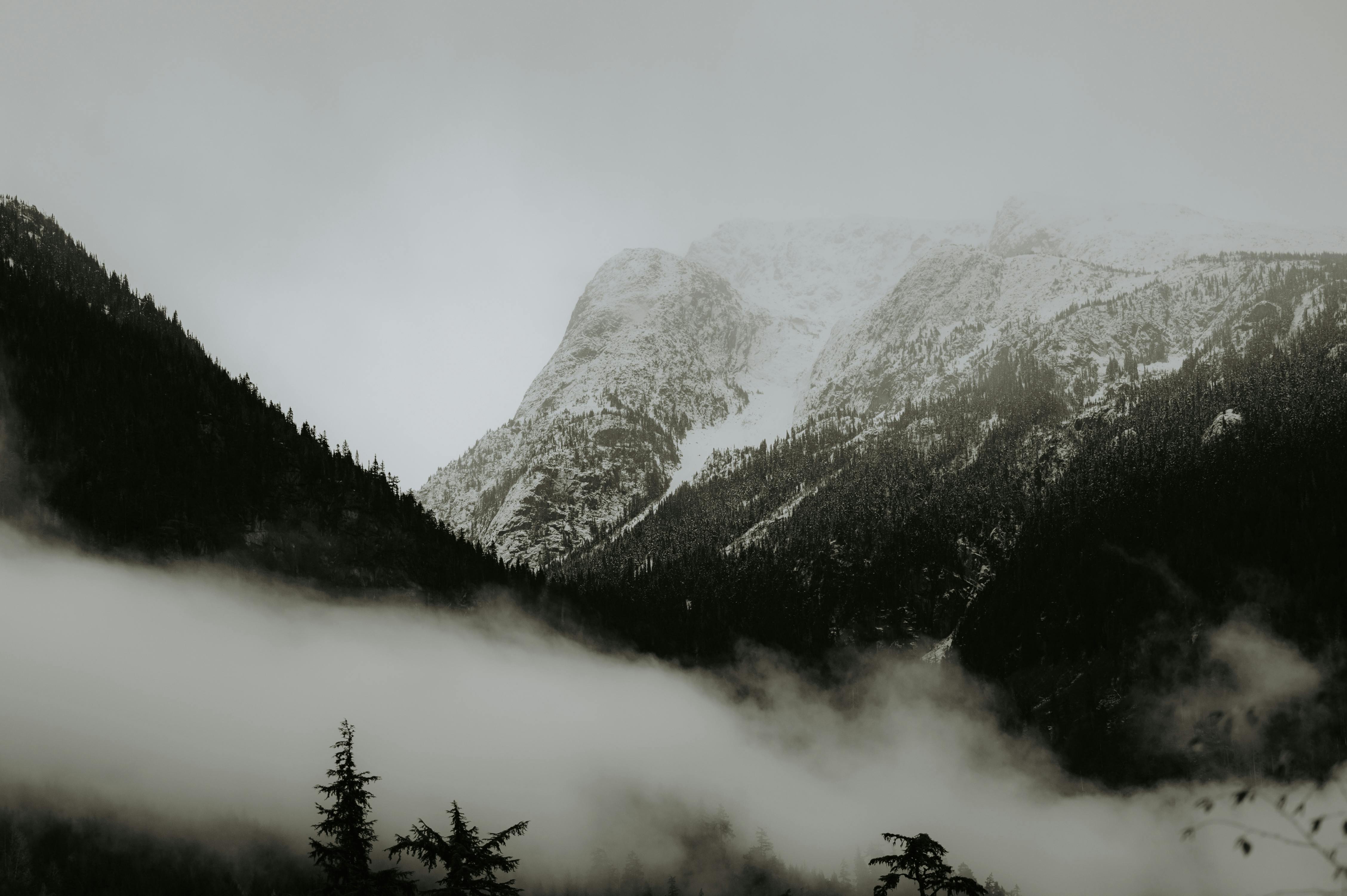 cold snow wood landscape