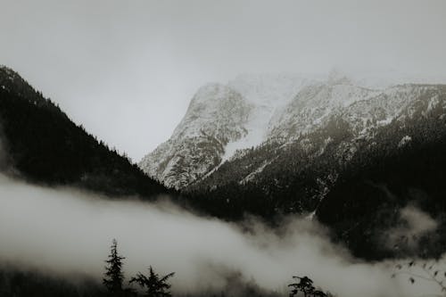 Grayscale Photo of Mountains Covered With Snow and Trees 