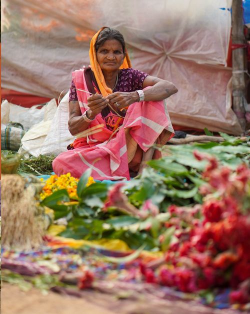 Free Senior woman in colorful saree selling vibrant flowers at a market in Nepal. Stock Photo