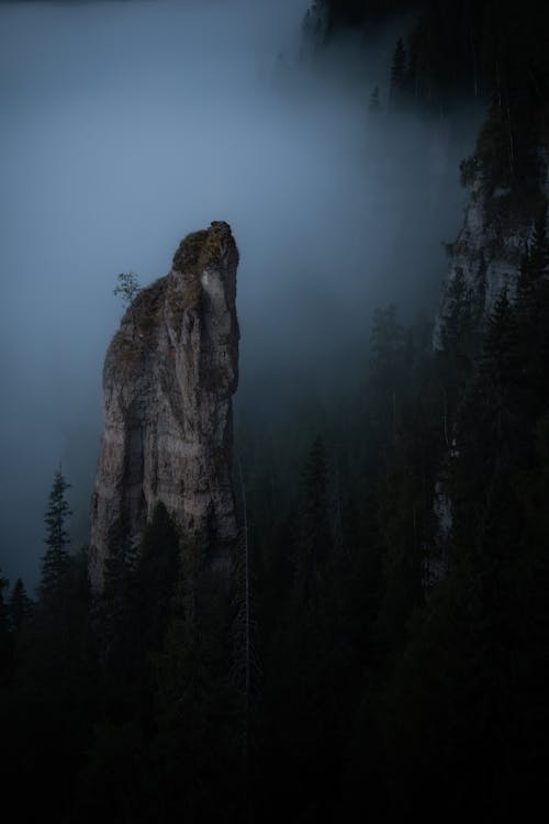 Tall Rock Formation Surrounded by Trees 