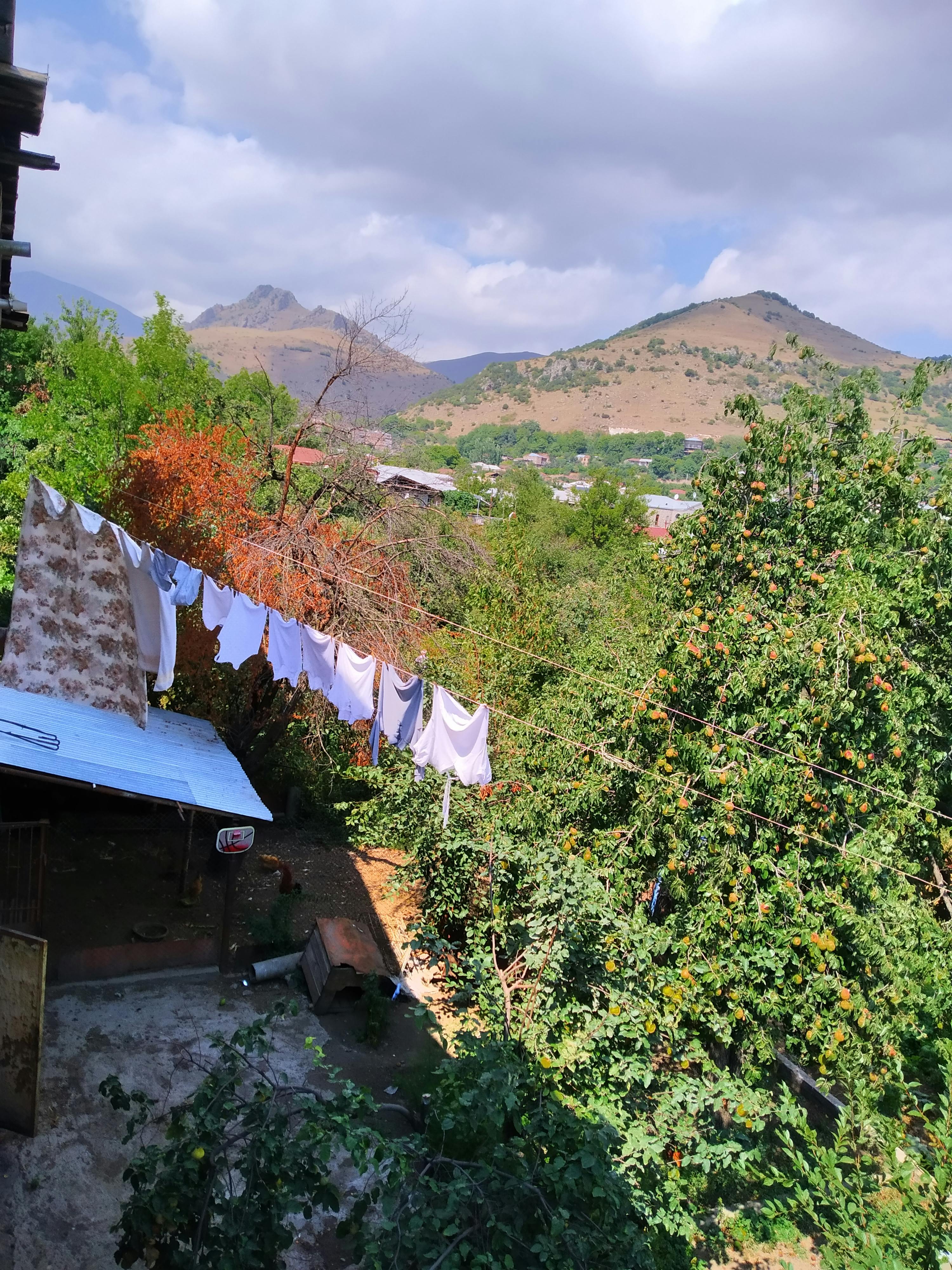 pexels-photo-10147300.jpeg?auto=compress&cs=tinysrgb&dpr=1&w=500