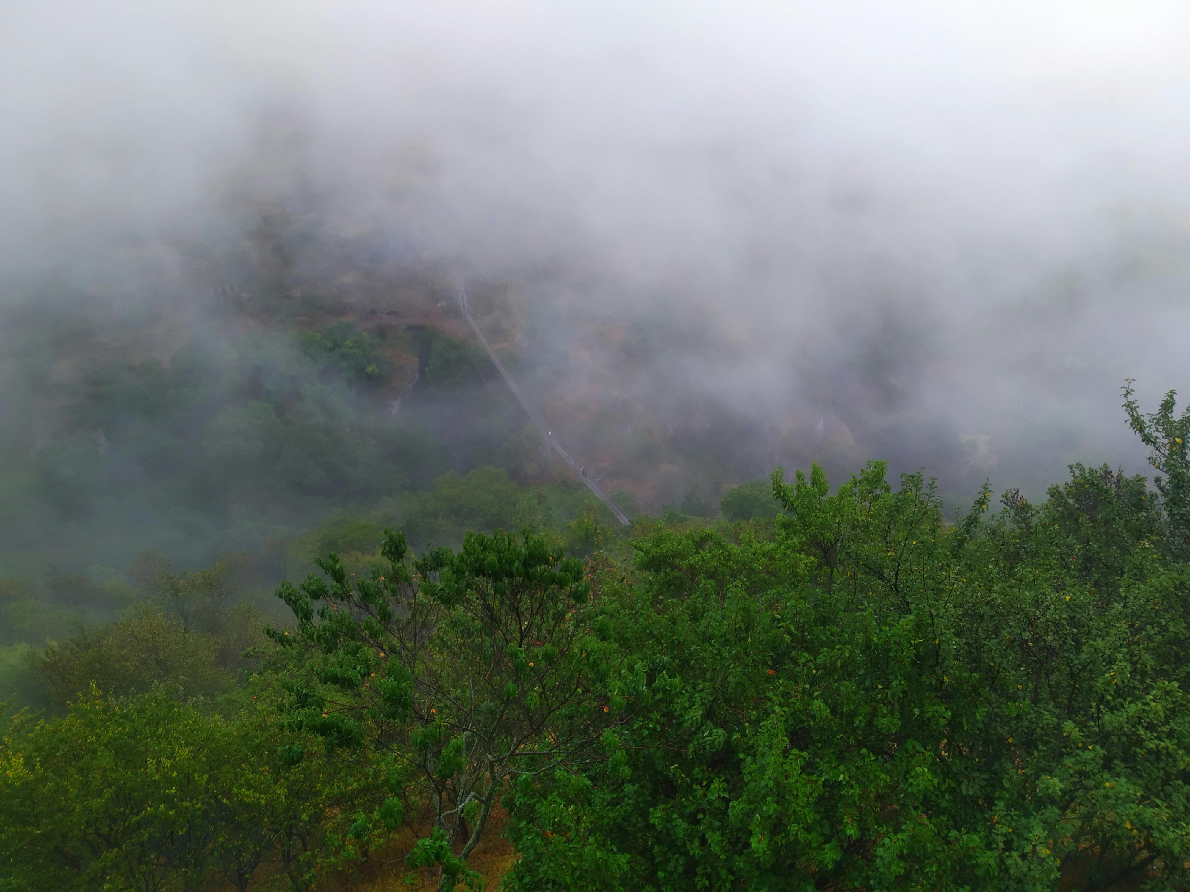 pexels-photo-10147671.jpeg?auto=compress&cs=tinysrgb&dpr=1&w=500