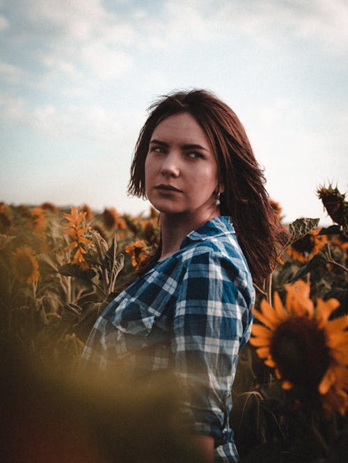 Imagine de stoc gratuită din câmp, femeie, floarea-soarelui
