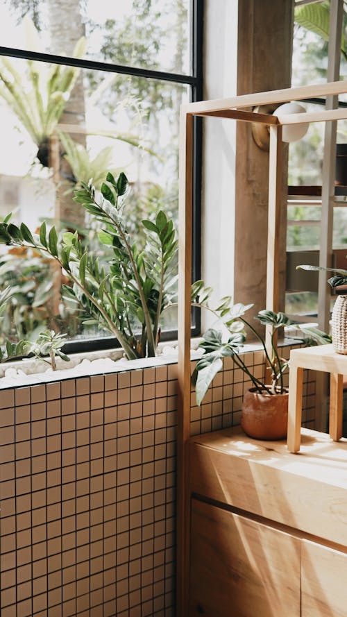 Green Plants Near the Glass Window 