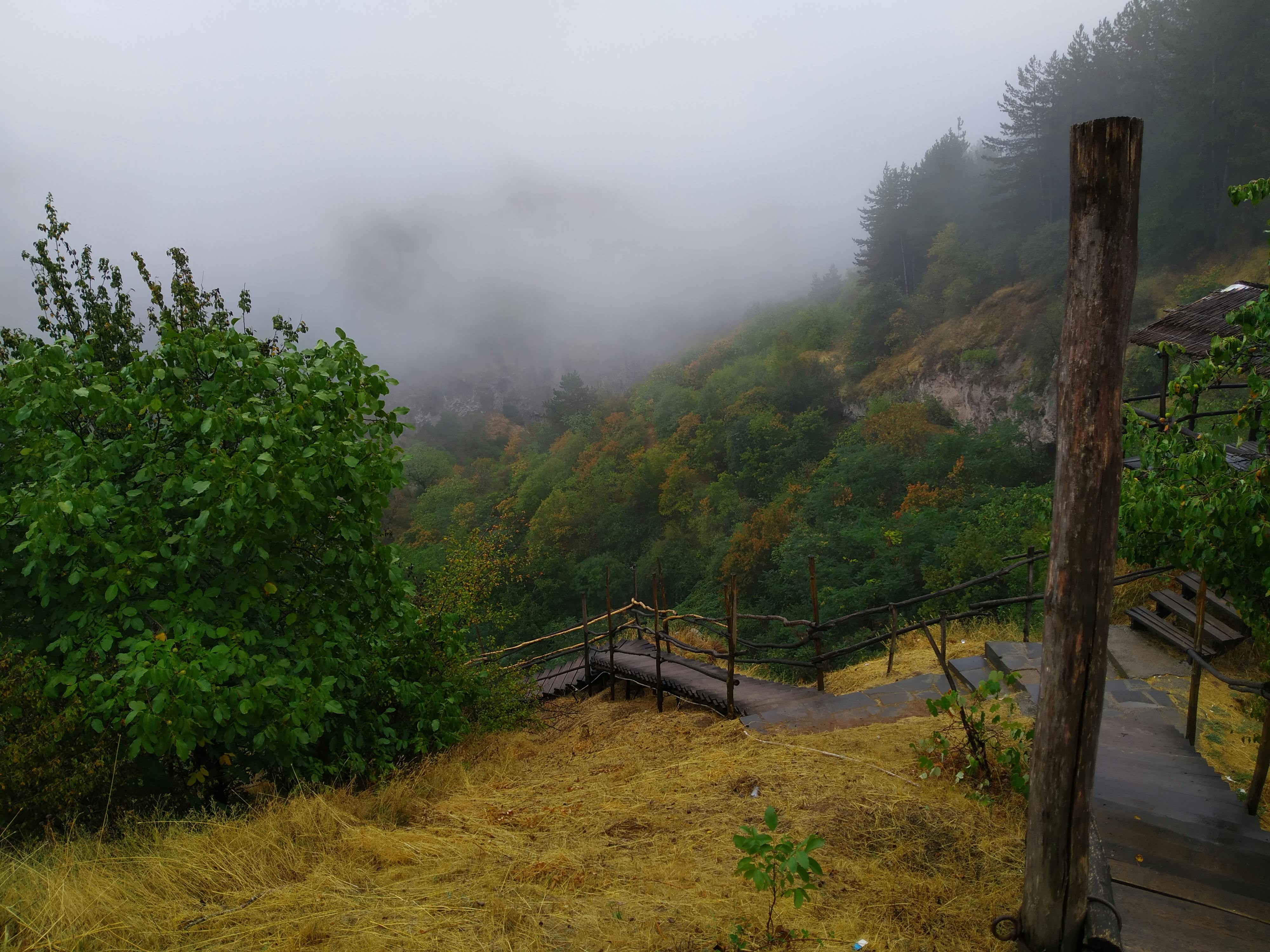 pexels-photo-10147745.jpeg?auto=compress&cs=tinysrgb&dpr=1&w=500