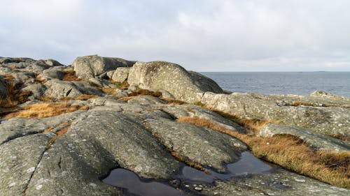 Free Gray and Brown Rock Formation on Sea Shore Stock Photo