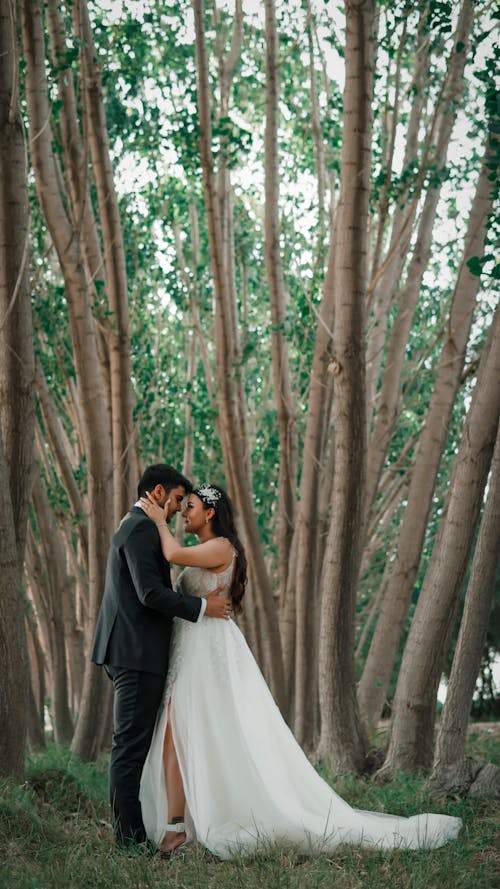 Foto d'estoc gratuïta de abraçant, arbres, boda