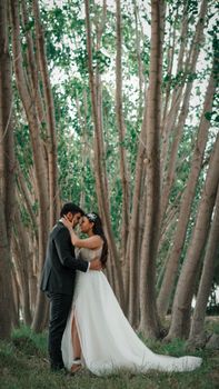 Bride and groom embrace amongst tall trees, creating a romantic and intimate wedding portrait.