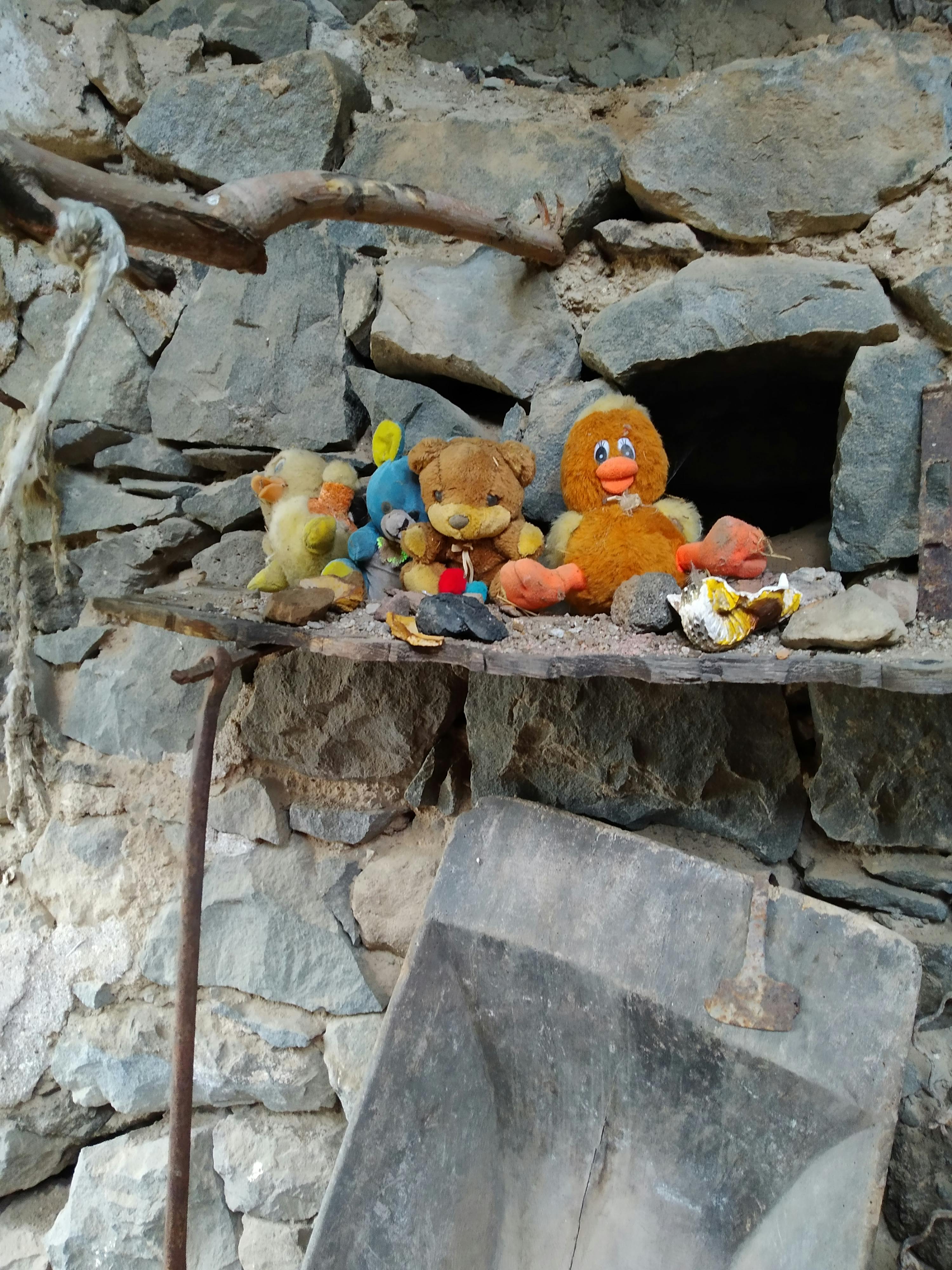 pexels-photo-10147913.jpeg?auto=compress&cs=tinysrgb&dpr=1&w=500