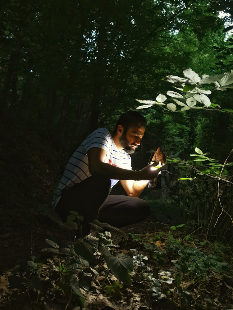 Man With Flashlight Watching Plants In Forest