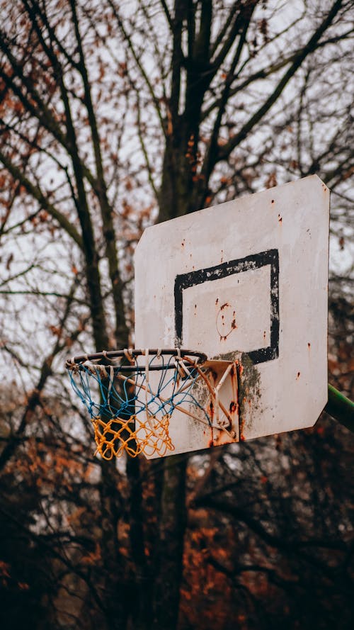 Ücretsiz Basketbol, çember, dikey atış içeren Ücretsiz stok fotoğraf Stok Fotoğraflar