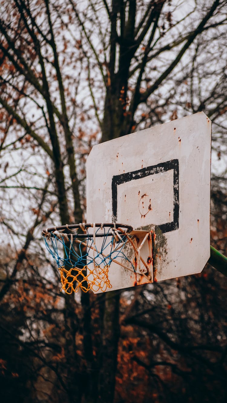 Basketball Board With Hoop