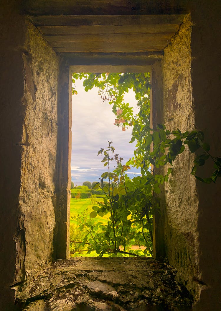 Broken Window On Abandoned Building