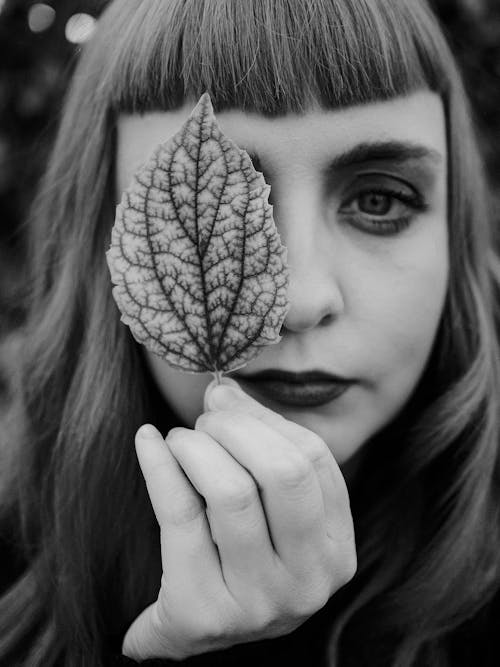 Free Grayscale Photo of Woman Holding a Leaf Stock Photo