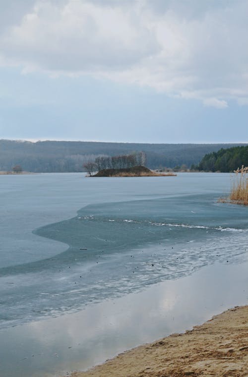 Kostnadsfri bild av fryst, höst, is