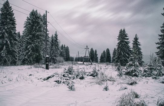 Captivating snowy forest landscape featuring pine trees and power lines under a cloudy sky.