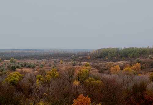 Aerial View of Autumn Forest Landscape 