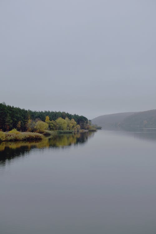 Foto profissional grátis de floresta, lago, natureza selvagem
