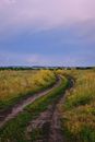 A Trail on Green Grass Field Under Blue Sky