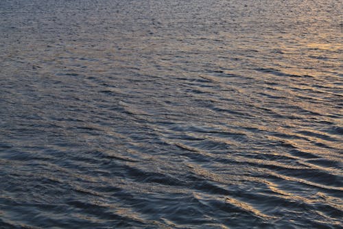 Foto profissional grátis de corpo d'água, mar, oceano