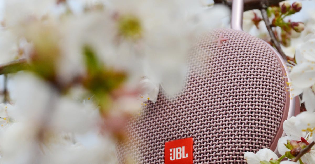 How to connect JBL speaker to Roku TV