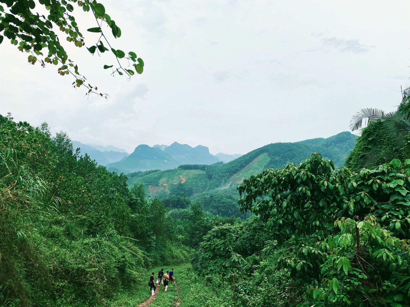 Green hills and a high plateau, Cambodia